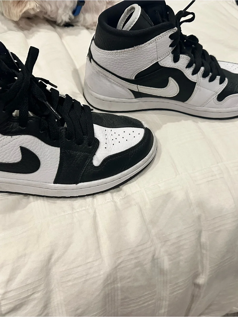 Nike Woman’s Black and White Low-Top Sneakers